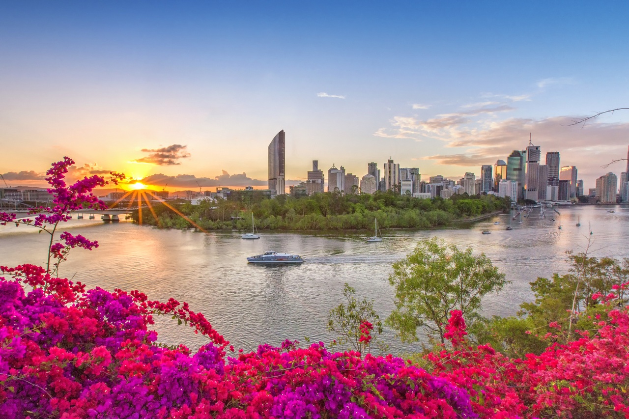 View Of City Skyline With Pink Bougainvillea Brisbane City