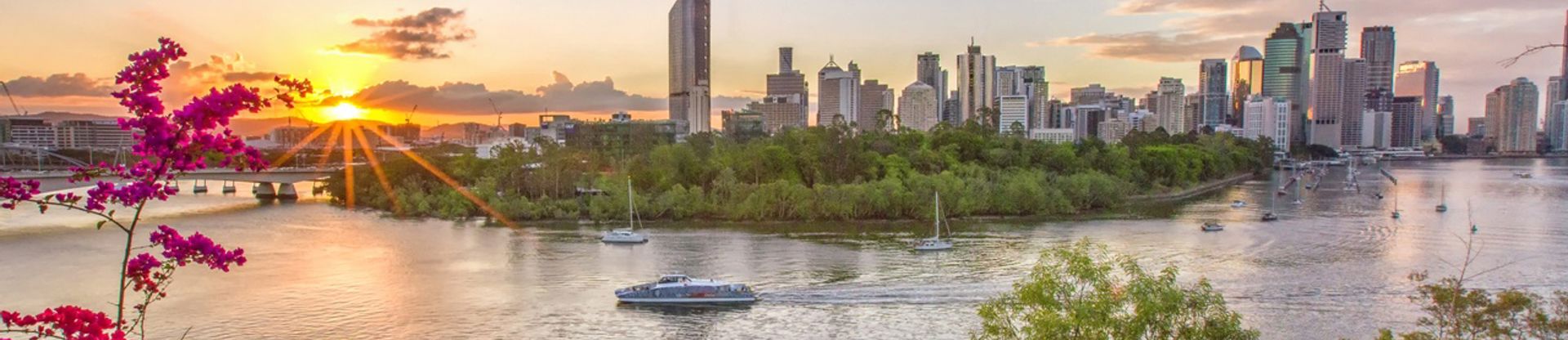 View Of City Skyline With Pink Bougainvillea Brisbane City