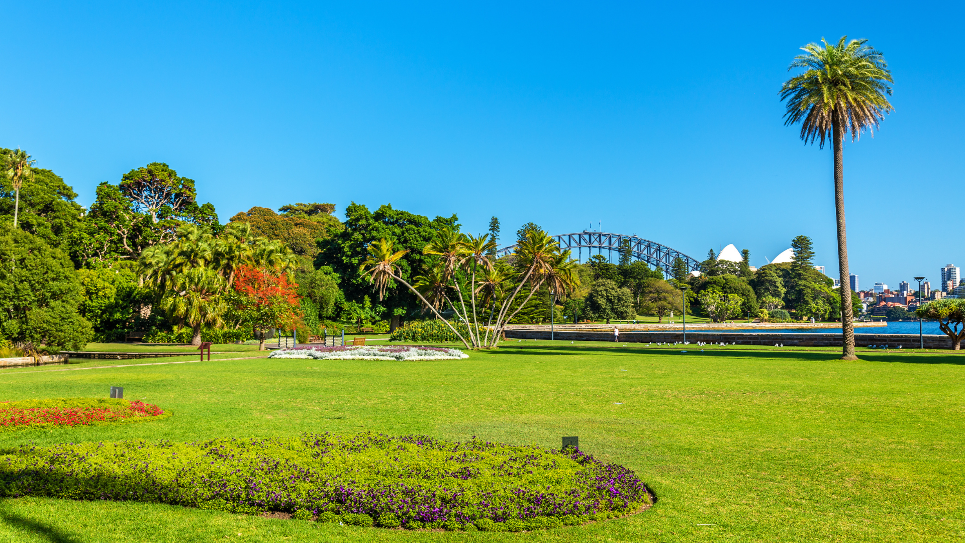 Sydney (5)