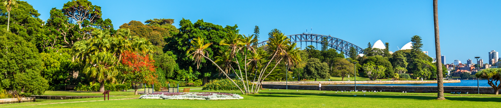 Sydney (5)
