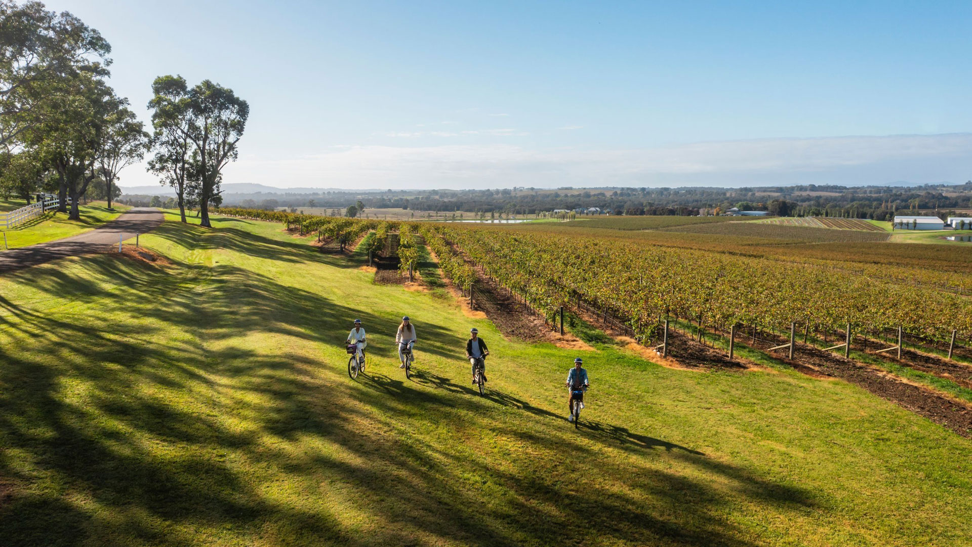 Hunter Valley 1