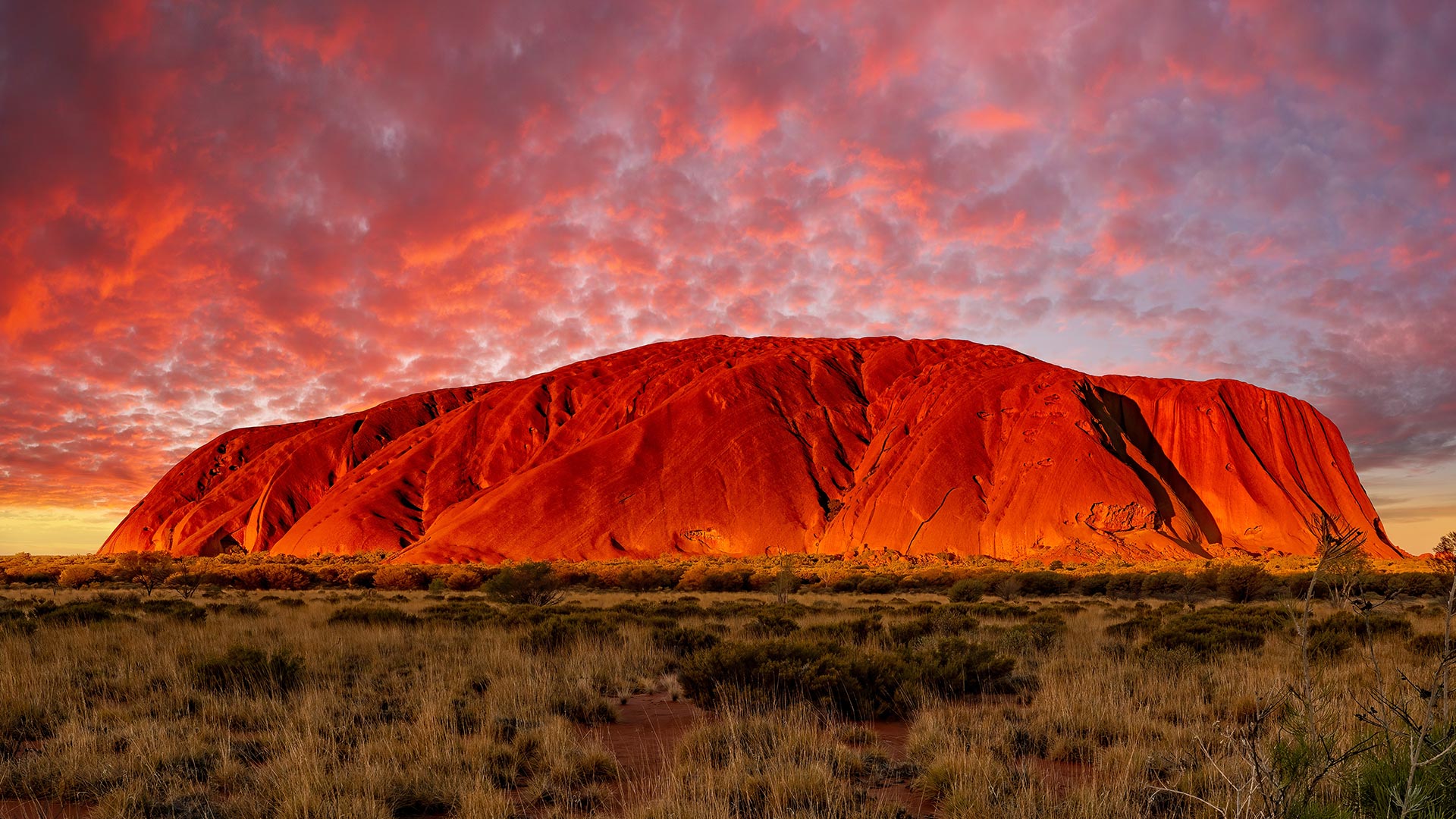 Uluru Aus