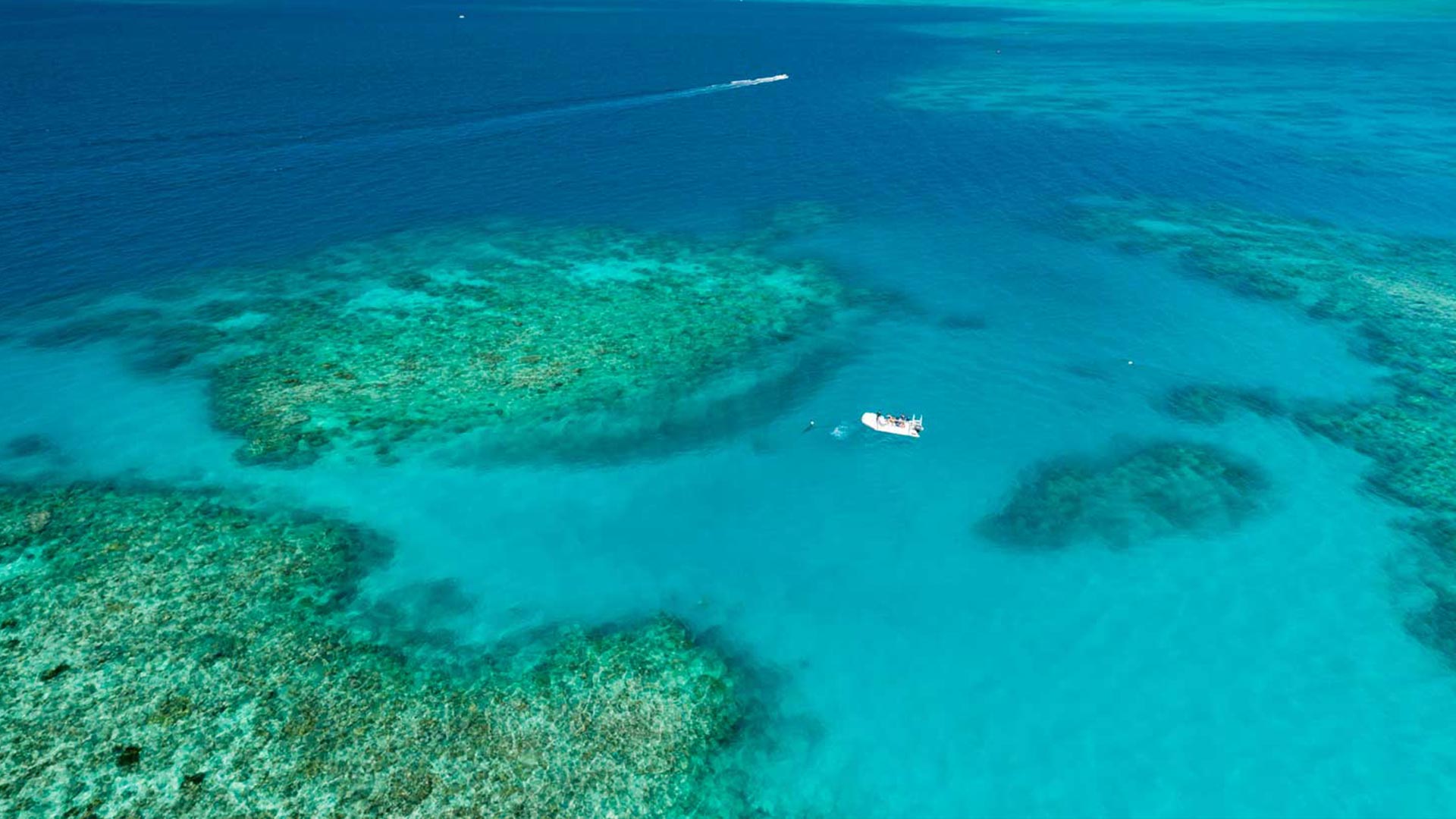 Great Barrier Reef 3