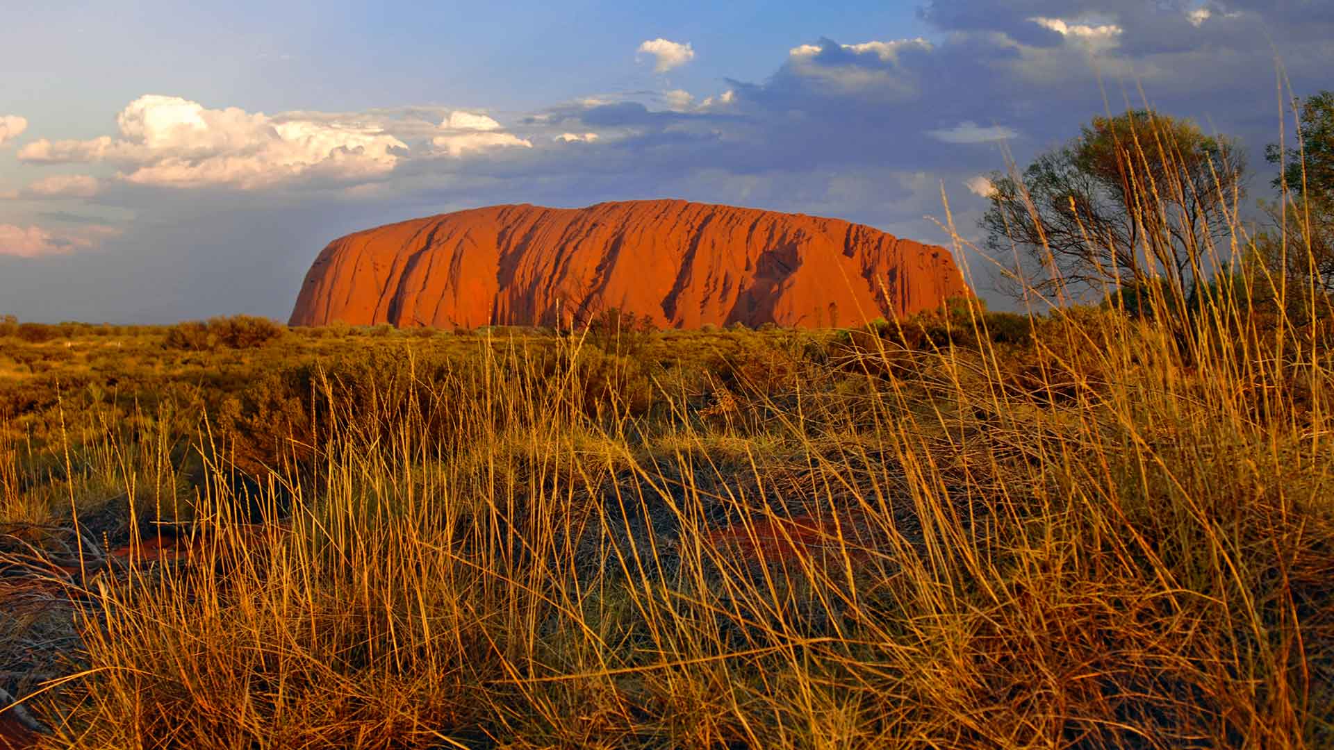 Uluru Rock