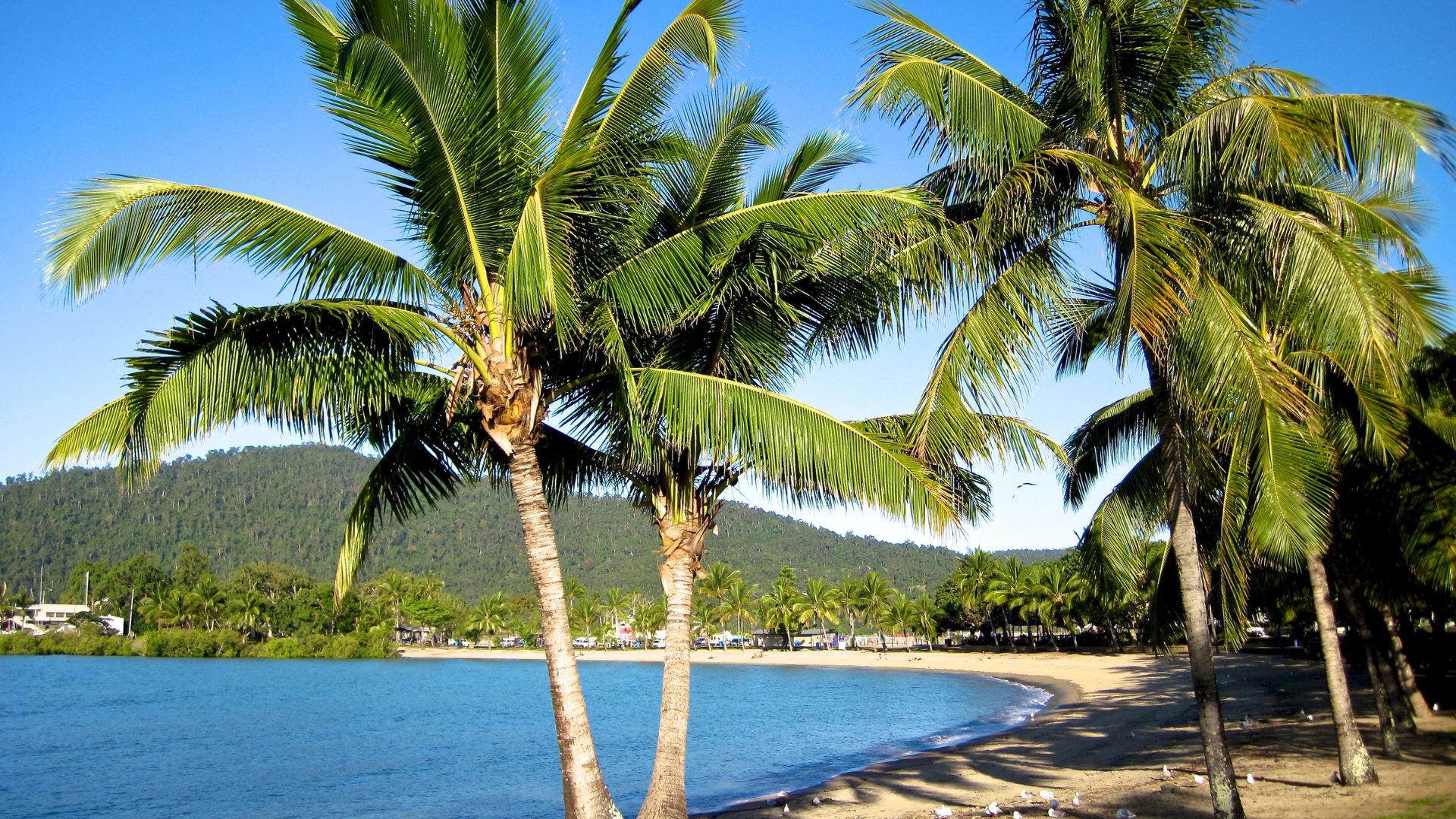 Whitsundays (1)