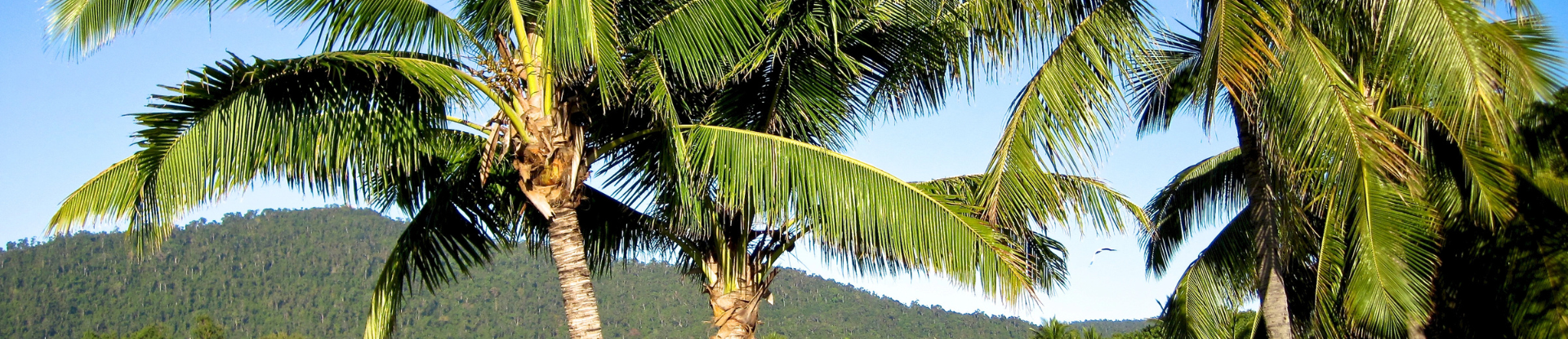 Whitsundays (1)